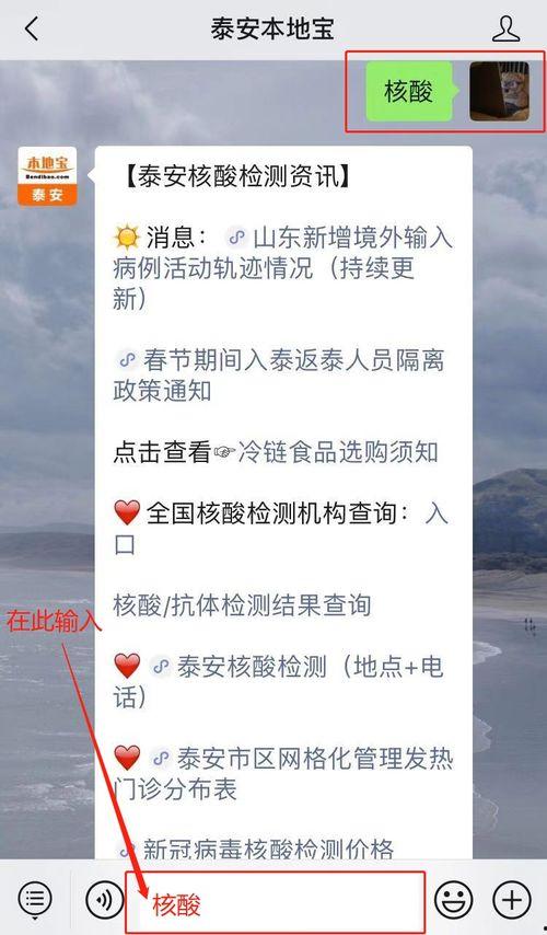 泰安核酸爆料事件真相最新,真相与反思