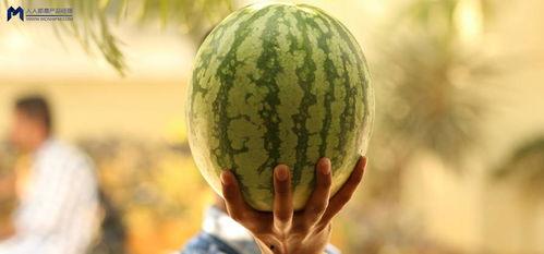 娱乐吃瓜为什么火爆 第3张 娱乐吃瓜为什么火爆 第3张